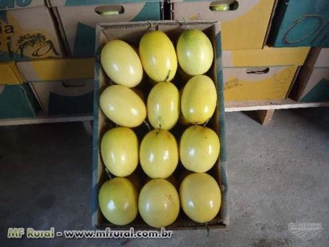 Imagem Polpa de Maracujá Imagem Polpa de Maracujá