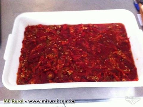 Pimenta Jalapenha Imagem Pimenta Jalapenha