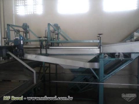 BENEFICIAMENTO DE LARANJAS Imagem BENEFICIAMENTO DE LARANJAS