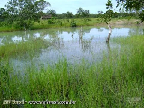 FAZENDA EM CRIXAS DO TOCANTINS COM 628 HECTARES