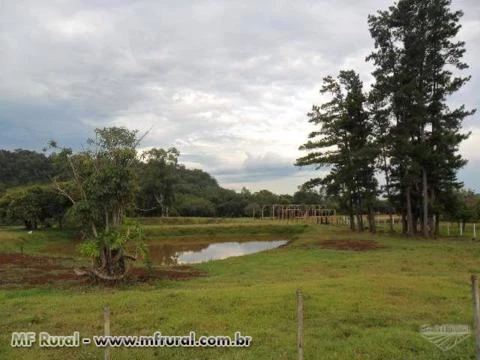 Belo Sítio a 100m da cidade, região Noroeste do RS