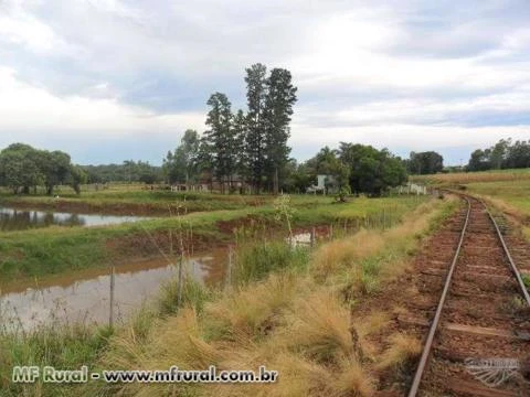 Belo Sítio a 100m da cidade, região Noroeste do RS