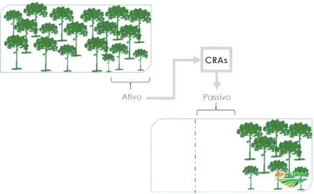 COTAS DE RESERVA AMBIENTAL - CRA