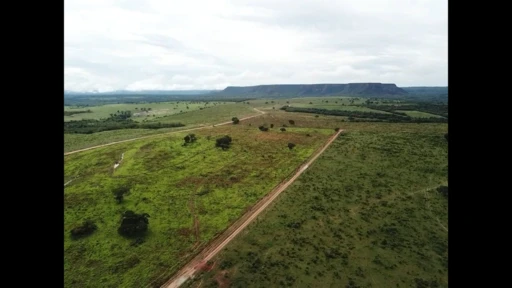 Fazenda a venda em Guiratinga MT