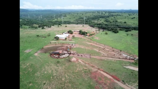 Fazenda a venda em Guiratinga MT