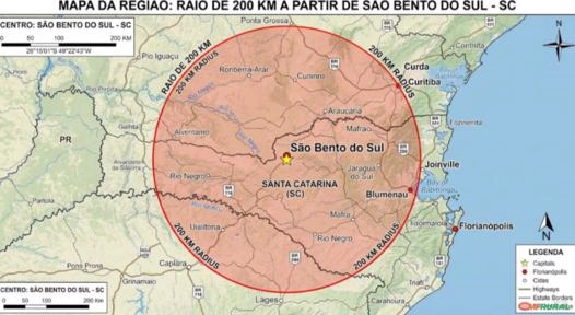 Compro pinus e eucalipto. Pagamento a vista Imagem Compro pinus e eucalipto. Pagamento a vista