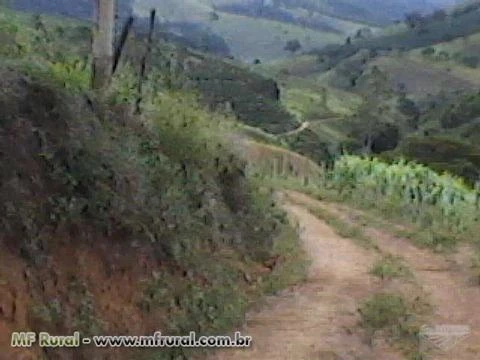 Sítio com 13 Alqueires Mineiro, a 1KM da Rodovia.