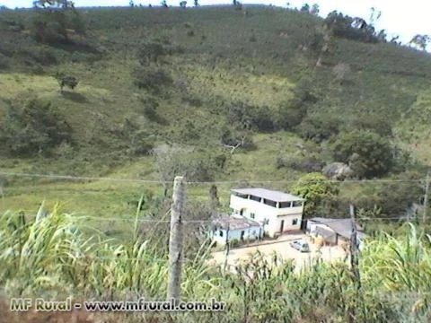 Sítio com 13 Alqueires Mineiro, a 1KM da Rodovia.