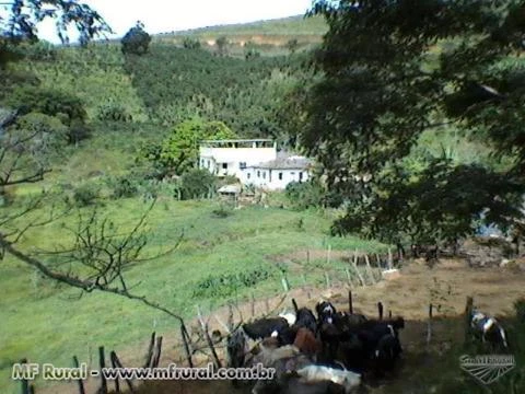 Sítio com 13 Alqueires Mineiro, a 1KM da Rodovia.