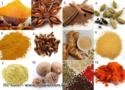 terceirização de moagen e misturas Imagem terceirização de moagen e misturas