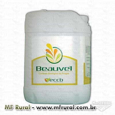 Inseticida biológico a base de Beauveria bassiana - caixa com 10un. de 1L