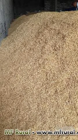 Casca de arroz emprensada & muida & agranel