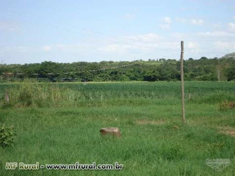 Fazenda Funil 200km de Brasília-df , 7 km de Buritis-mg