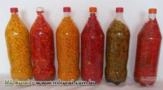 Pimenta Bode Imagem Pimenta Bode