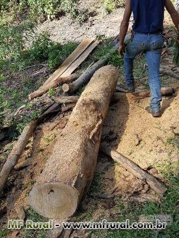 Imagem Madeira Serrada de Eucalipto Imagem Madeira Serrada de Eucalipto