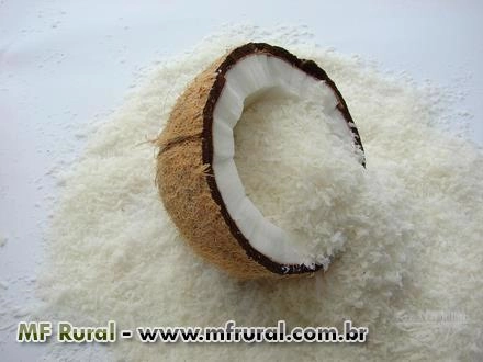 COCO FRESCO RALADO CONGELADO Imagem COCO FRESCO RALADO CONGELADO