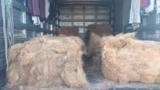 Fibra e pó de coco em tonelada Imagem Fibra e pó de coco em tonelada
