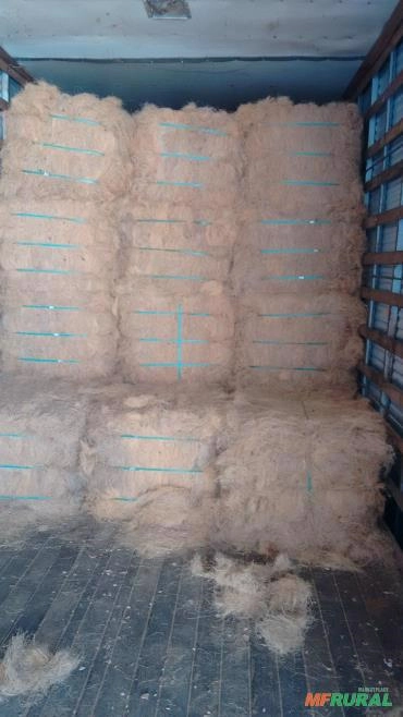 Fibra e pó de coco em tonelada Imagem Fibra e pó de coco em tonelada