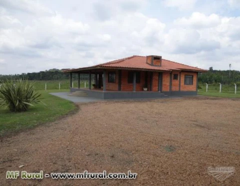 CHACARA  AS MARGENS DO RIO IGUAÇU 4 ALQUEIRES CASA TANQUE COM ILHA