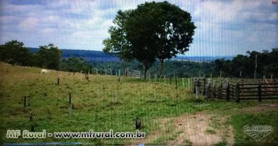 Fazenda à venda no Mato Grosso