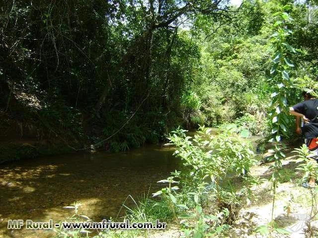 SITIO A VENDA 25,6 HECTARES DISTRITO DE TOBATI - IBIÁ MG