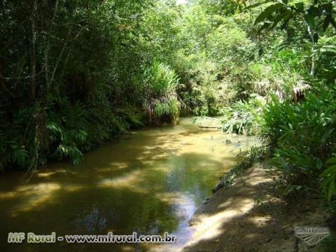 SITIO A VENDA 25,6 HECTARES DISTRITO DE TOBATI - IBIÁ MG