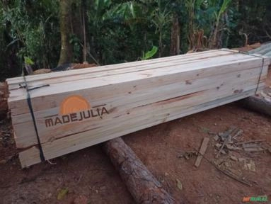 COMPRO TORAS DE PINUS Imagem COMPRO TORAS DE PINUS