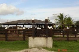 Fazenda venda Belmonte, sul da Bahia, 1.200 hectares