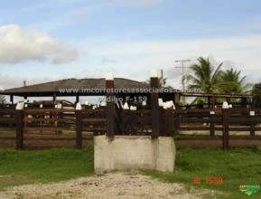 Fazenda venda Belmonte, sul da Bahia, 1.200 hectares