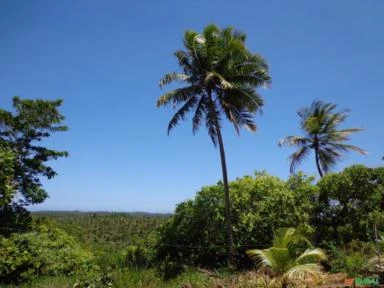 Sítio em Jandaíra, Bahia