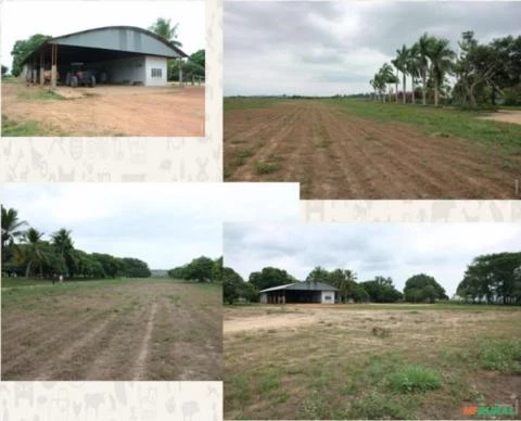 Fazenda no estado do Pará