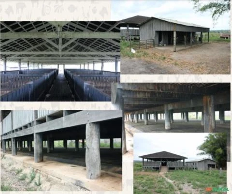 Fazenda no estado do Pará