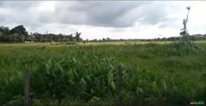 Fazenda no estado do Pará