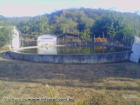 Fazenda Jurema / Tucano-Bahia