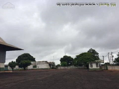 Unidade silos , balancas,maquinas de limpezas completa