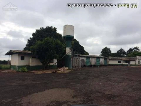 Unidade silos , balancas,maquinas de limpezas completa