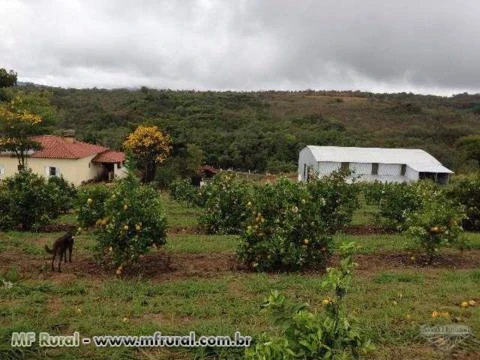 Vende-se Fazenda no sul de Minas Gerais, próximo a Três Corações e São Thomé das Letras com 52 alq.