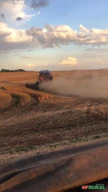 Terceirização de colheita para todo o Brasil Imagem Terceirização de colheita para todo o Brasil