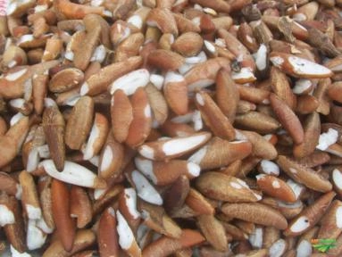 Imagem Farinhas e Especiarias 250g Imagem Farinhas e Especiarias 250g