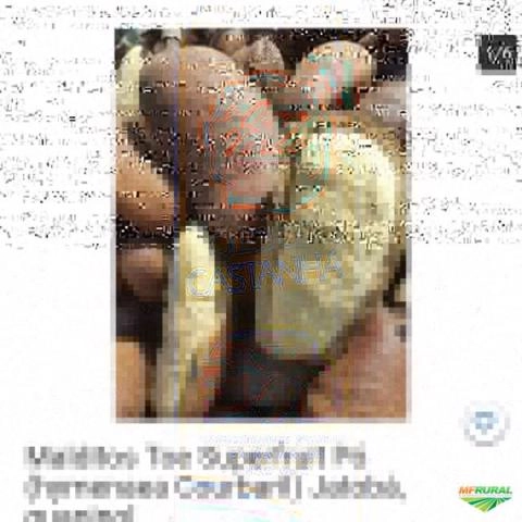 Imagem Farinhas e Especiarias 250g Imagem Farinhas e Especiarias 250g