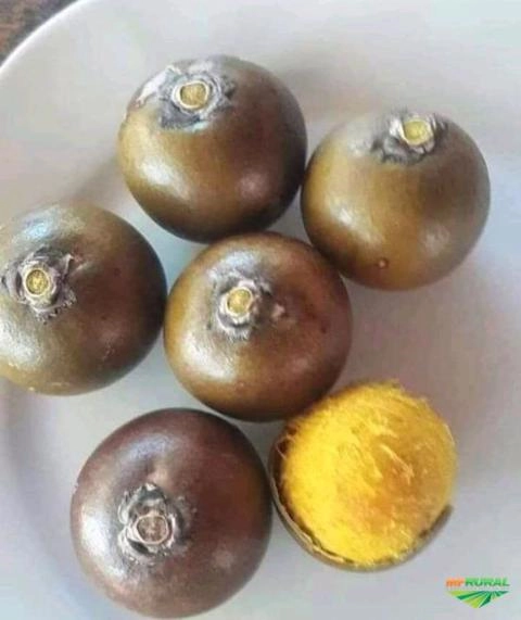 Imagem Farinhas e Especiarias 250g Imagem Farinhas e Especiarias 250g