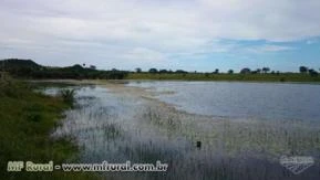 Fazenda em pasto para arrendar