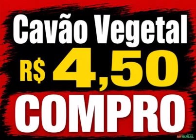 Compro Carvão Vegetal de Qualidade Imagem Compro Carvão Vegetal de Qualidade
