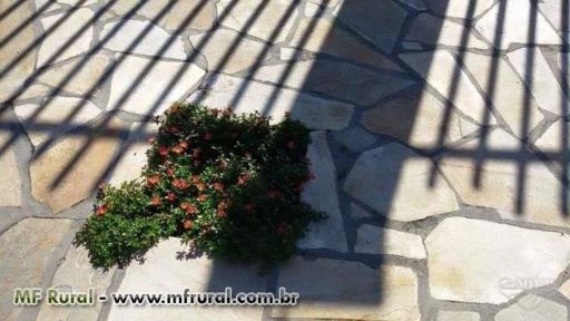 Imagem TROCO CASA EM CURITIBA POR SÍTIO/CHACARA Imagem TROCO CASA EM CURITIBA POR SÍTIO/CHACARA