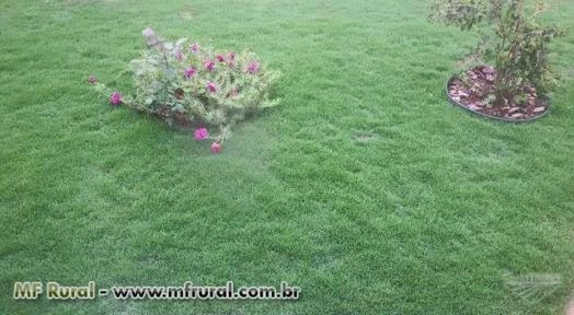 Imagem TROCO CASA EM CURITIBA POR SÍTIO/CHACARA Imagem TROCO CASA EM CURITIBA POR SÍTIO/CHACARA