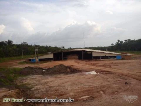 fazenda no maranhao