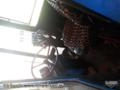 Pulverizador MAX SYSTEM FORD 6600 Imagem Pulverizador MAX SYSTEM FORD 6600