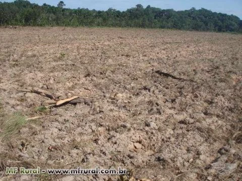 ARRENDO FAZENDA PARA SOJA, MILHO, SORGO, ETC