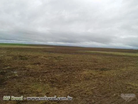 Fazenda 3000 hectares Rio Grande do Sul