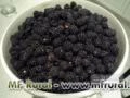 Fruta Congelada - Framboesa, Mirtillo, Physalis, Amora